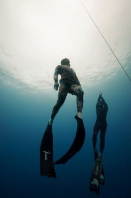 F.i.i. Level 1 Freediving Course